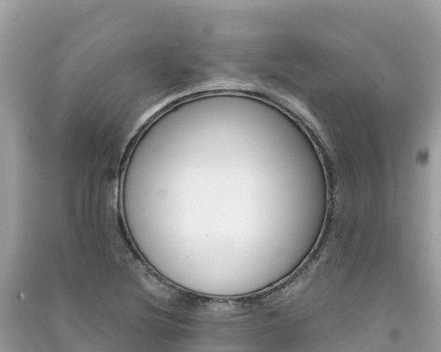 X0000091301220200708101040
