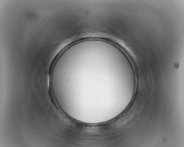 X0000091301221200708101040