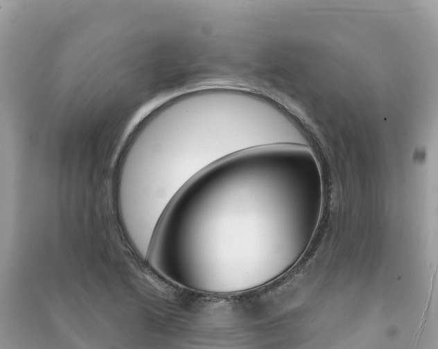 X0000091301222200708101040