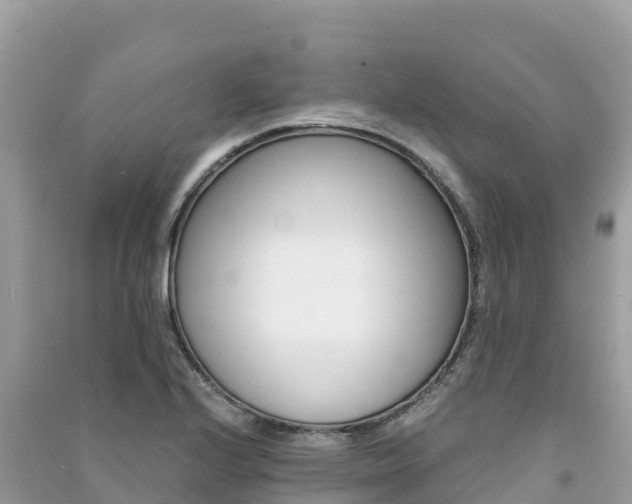 X0000091301224200708101041
