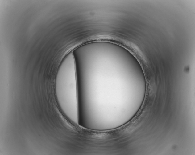 X0000091301225200708101041