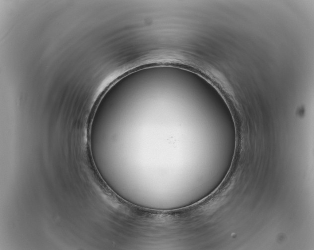 X0000091301226200708101041