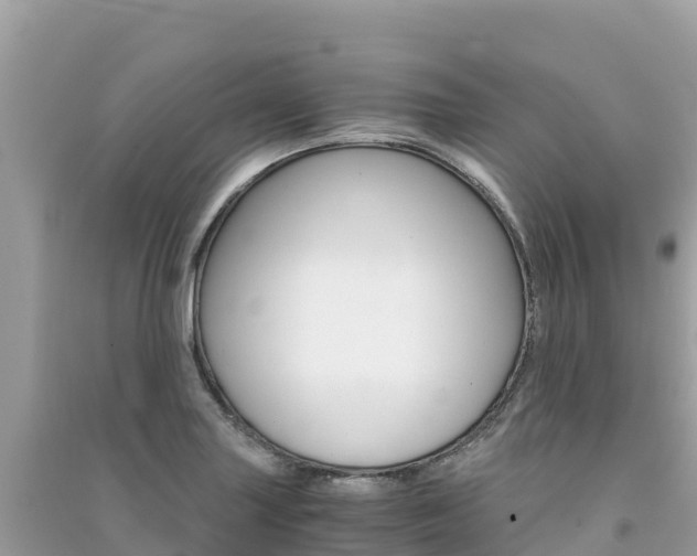 X0000091301227200708101041