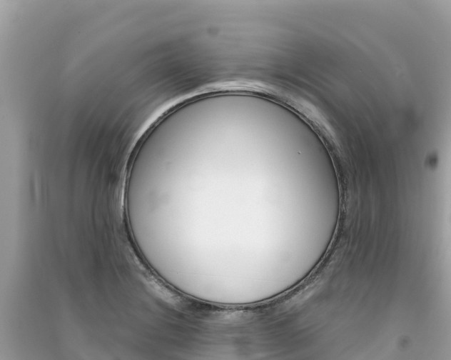 X0000091301228200708101041