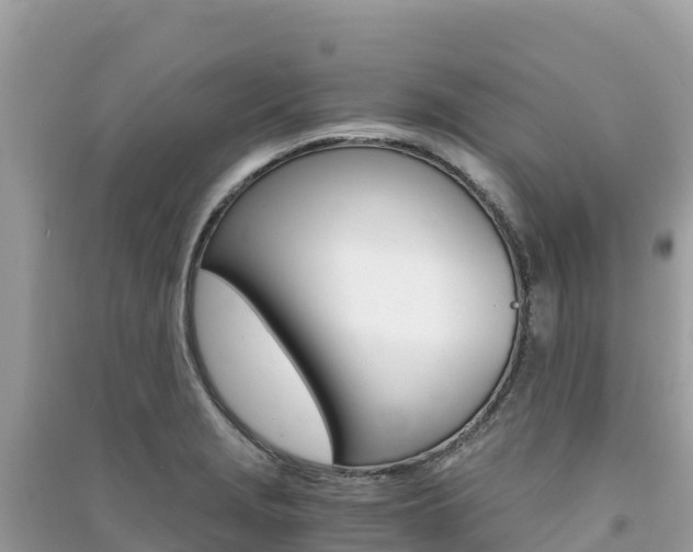 X0000091301229200708101041