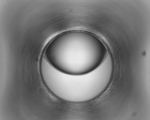 X0000091301230200708101041