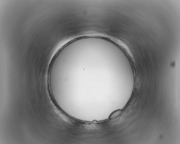 X0000091301231200708101041