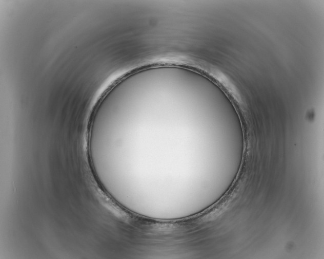 X0000091301232200708101041