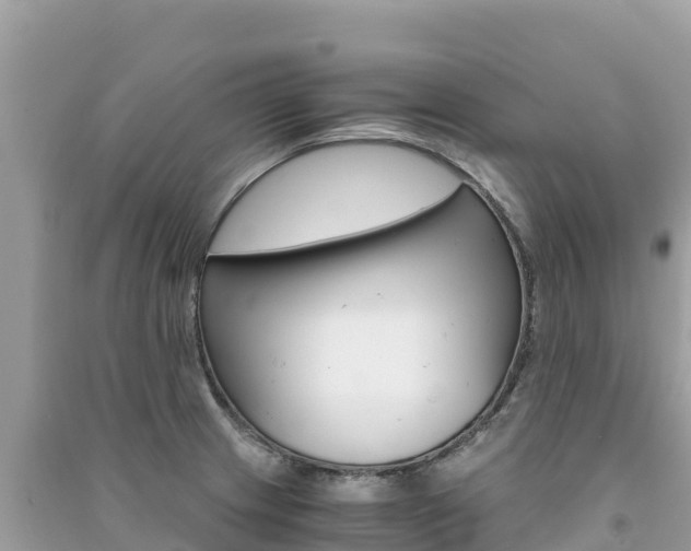 X0000091301233200708101041