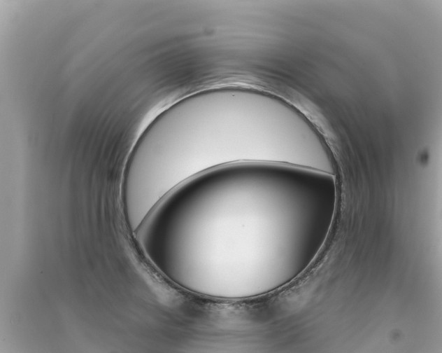 X0000091301234200708101041