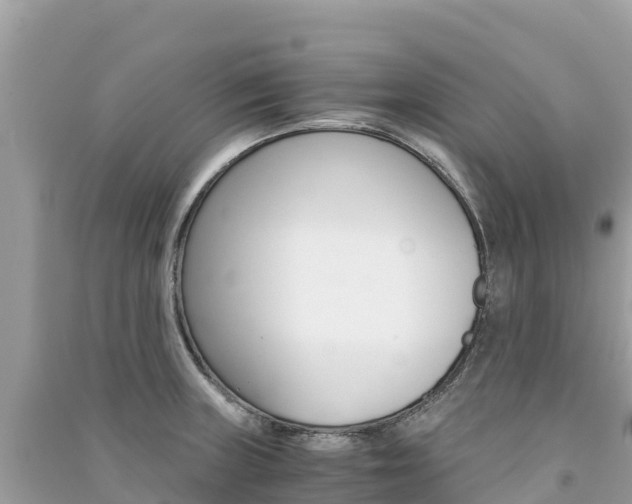 X0000091301235200708101041