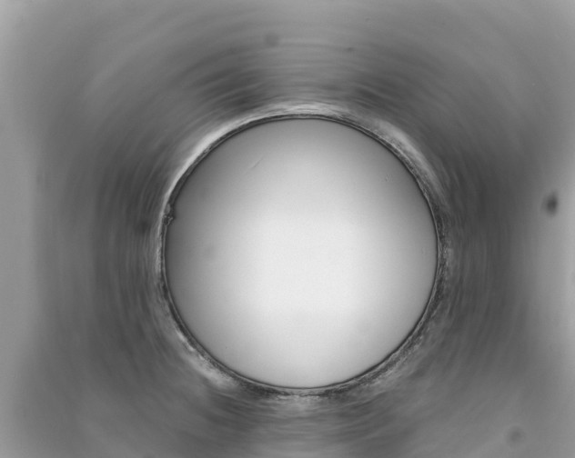 X0000091301236200708101041