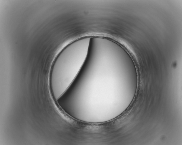 X0000091301237200708101041