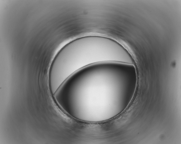 X0000091301238200708101041