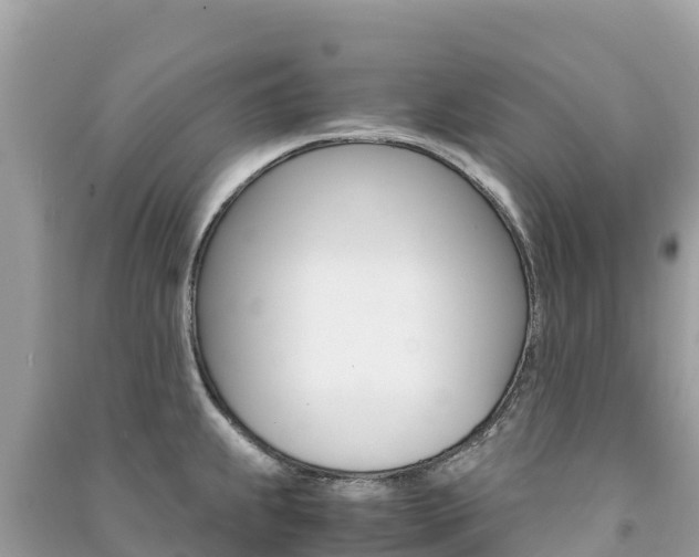X0000091301239200708101041