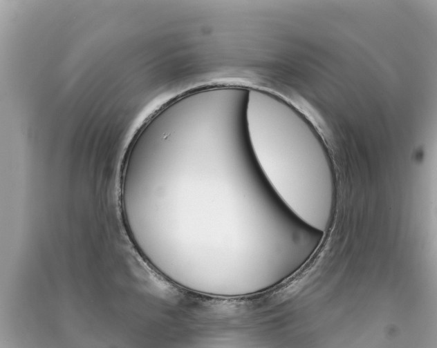 X0000091301240200708101041