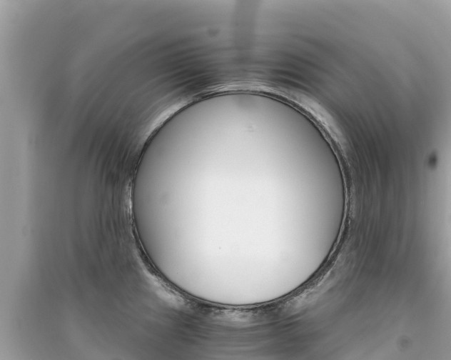 X0000091301241200708101041