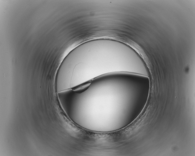 X0000091301242200708101041