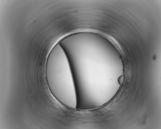 X0000091301244200708101041