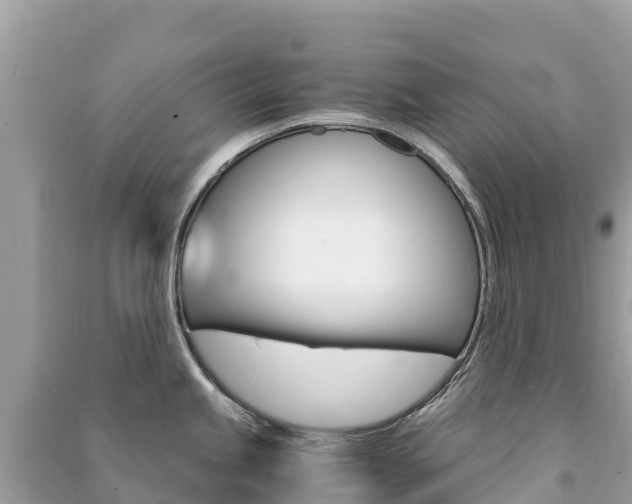 X0000091301245200708101041