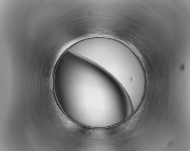 X0000091301246200708101041