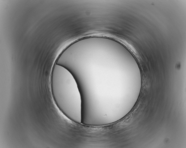 X0000091301247200708101041