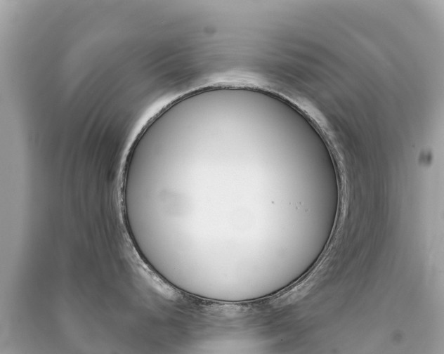 X0000091301248200708101041