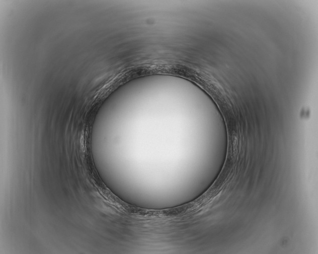 X0000091301250200708101040