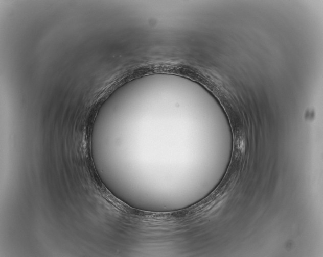 X0000091301252200708101040