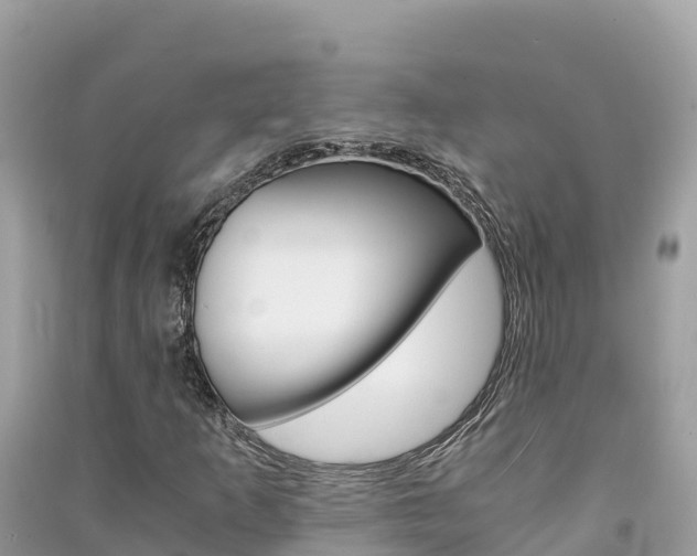 X0000091301253200708101040