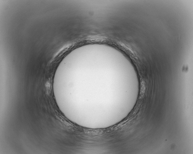 X0000091301254200708101040