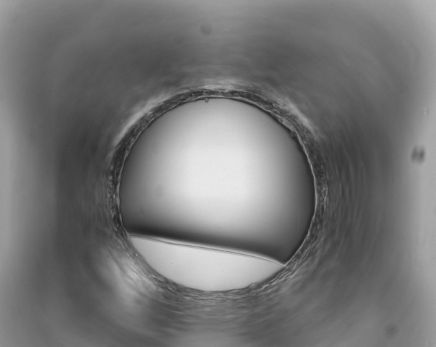 X0000091301256200708101040