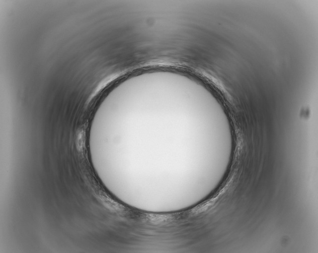 X0000091301258200708101040