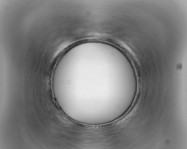 X0000091301259200708101040