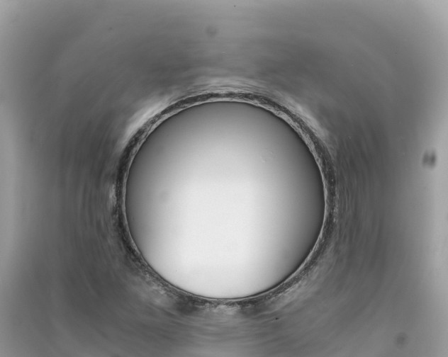 X0000091301261200708101040