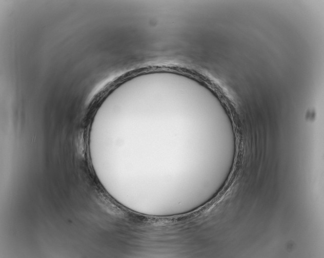 X0000091301262200708101040