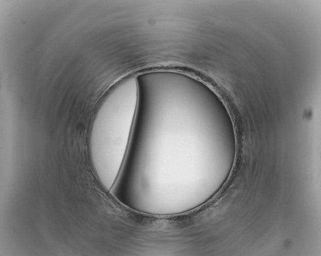 X0000091301265200708101040