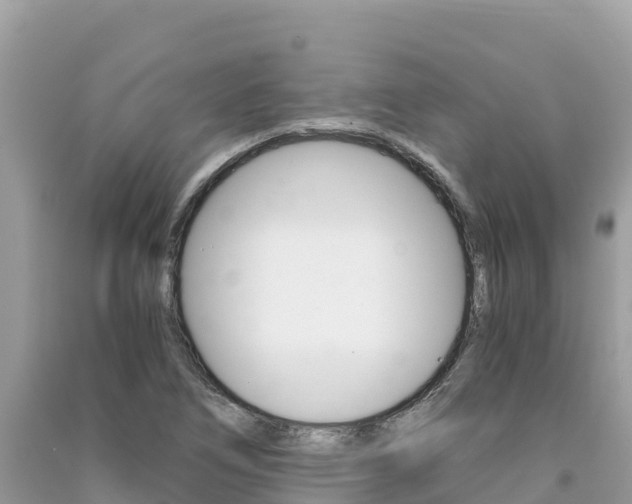 X0000091301266200708101040