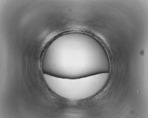 X0000091301267200708101040