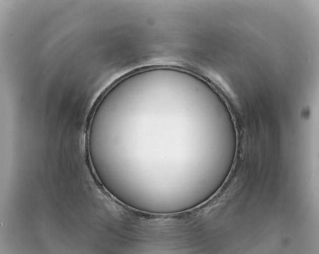 X0000091301268200708101040