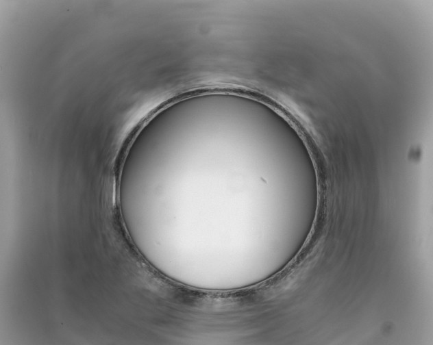 X0000091301269200708101040
