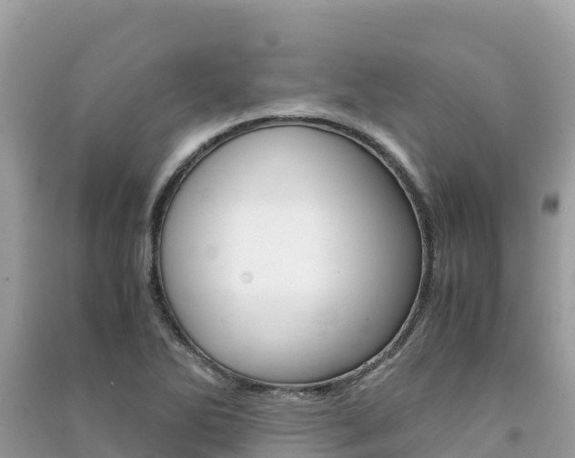 X0000091301270200708101040