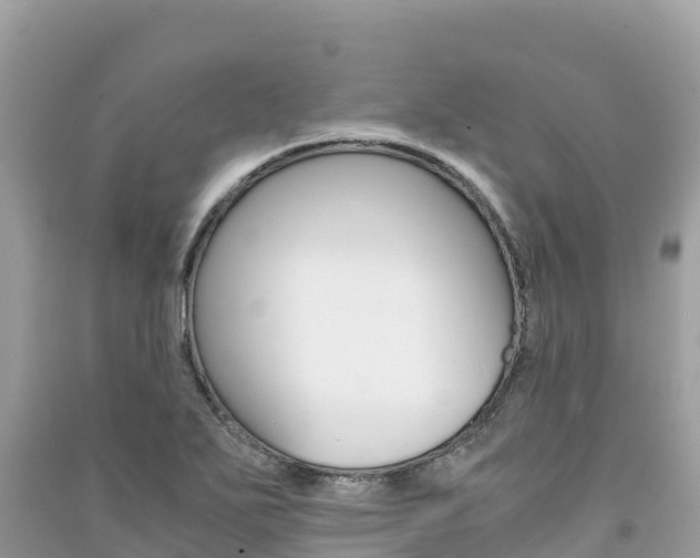 X0000091301271200708101040