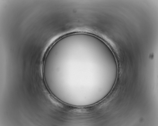 X0000091301272200708101040