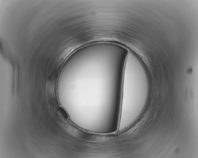 X0000091301273200708101040