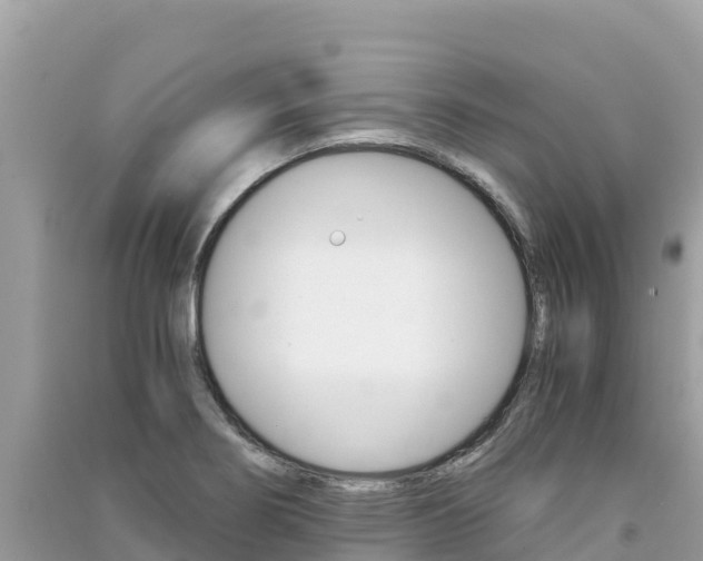 X0000091301274200708101040