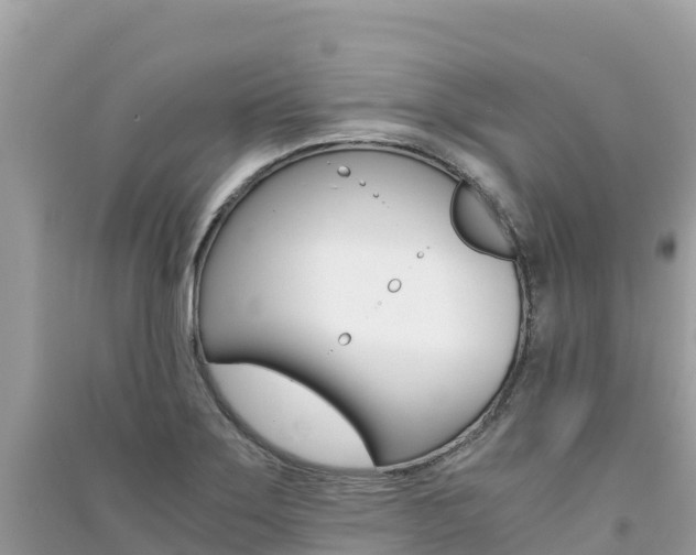 X0000091301275200708101040