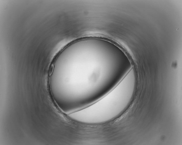X0000091301277200708101040