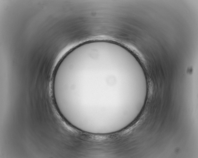 X0000091301278200708101040
