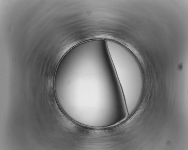 X0000091301281200708101040